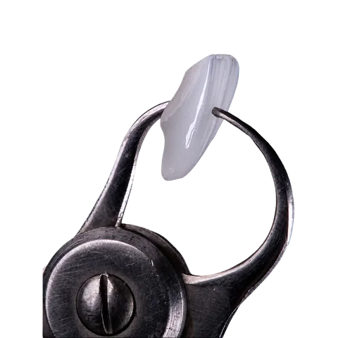 Detalhe de uma lente dental segurada por um instrumento.